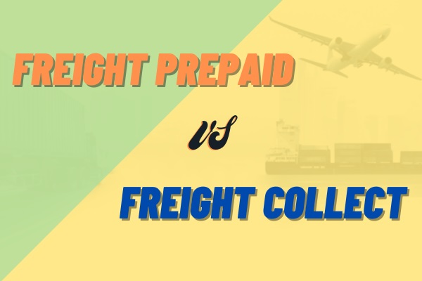 So sánh điểm giống, khác nhau giữa Freight Prepaid và Freight Collect