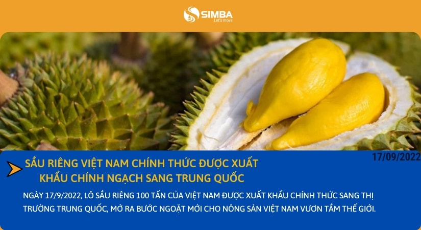 Sầu riêng Việt Nam chính thức được xuất khẩu chính ngạch sang thị trường Trung Quốc