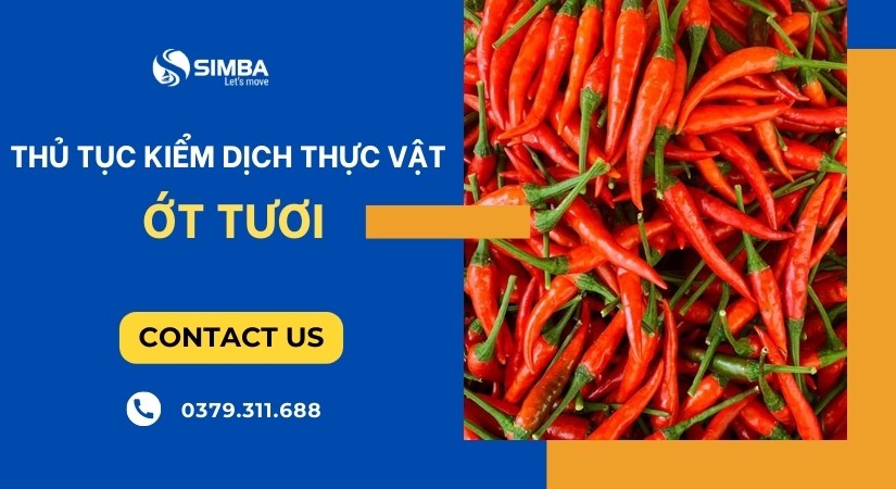 Thủ tục kiểm dịch thực vật ớt tươi xuất khẩu