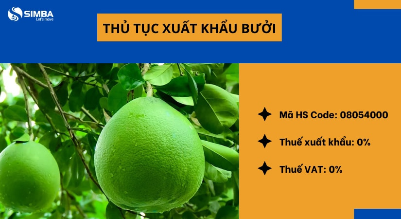 Chi tiết thủ tục xuất khẩu bưởi