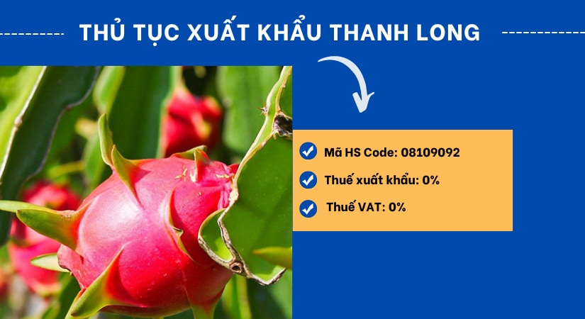 Chi tiết thủ tục xuất khẩu thanh long