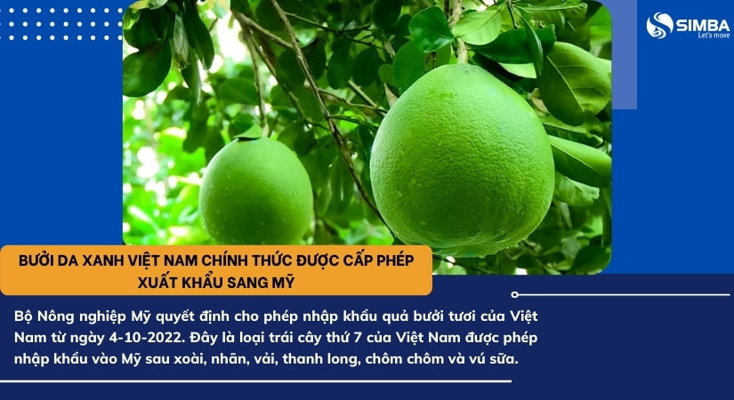 Trái bưởi Việt Nam chính thức được xuất khẩu sang thị trường Mỹ