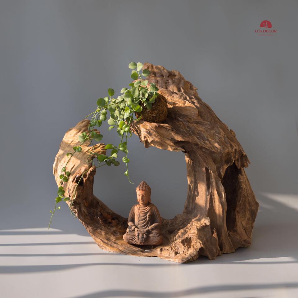 TIỂU CẢNH THIỀN: Kể cả khi lòng vắng hoe, thì an yên cũng nên ở lại.