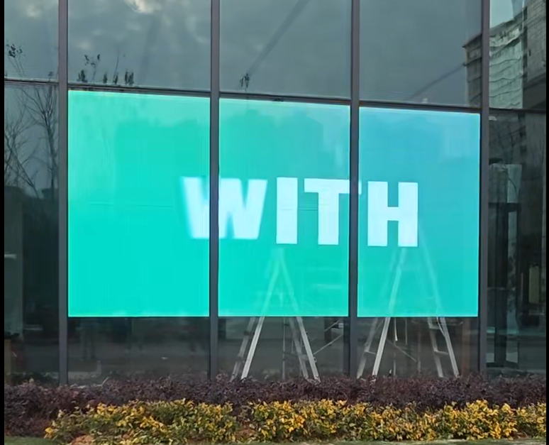 Led trong suot dan kinh