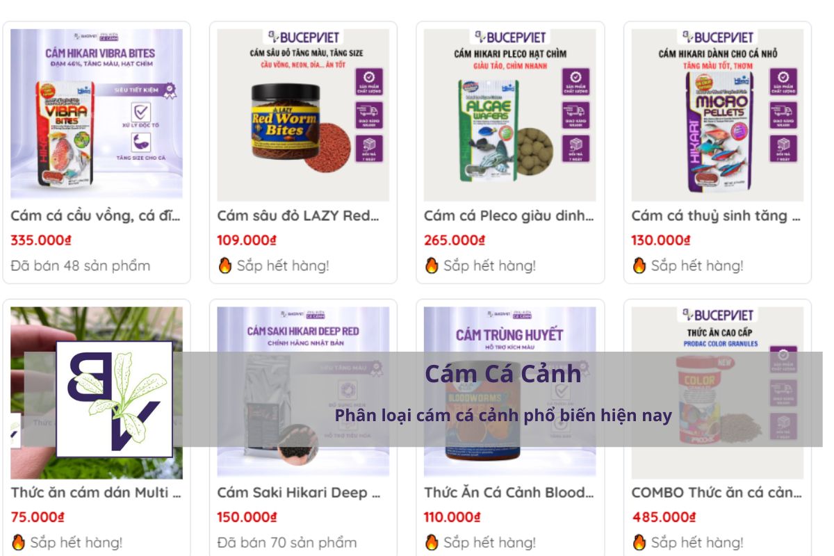 Phân loại cám cá cảnh phổ biến hiện nay - Cám cá - loại thức ăn cho cá cảnh theo thương hiệu nổi bật tại BucepViet.vn