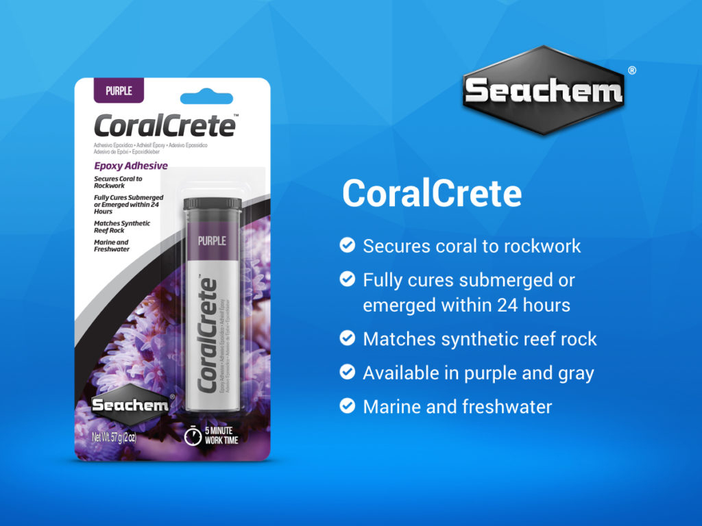 SEACHEM - CoralCrete | Keo dán san hô, lũa, đá trong hồ cá biển