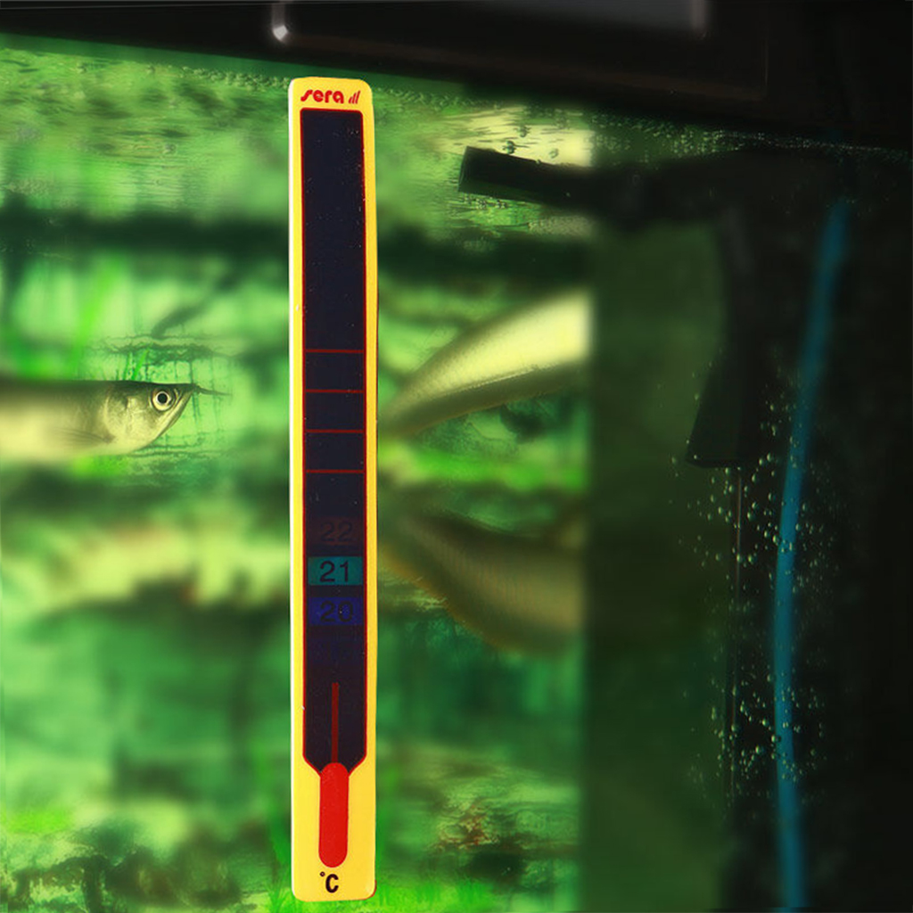 SERA - Digital Thermometer | Nhiệt kế dán kính hồ cá thủy sinh