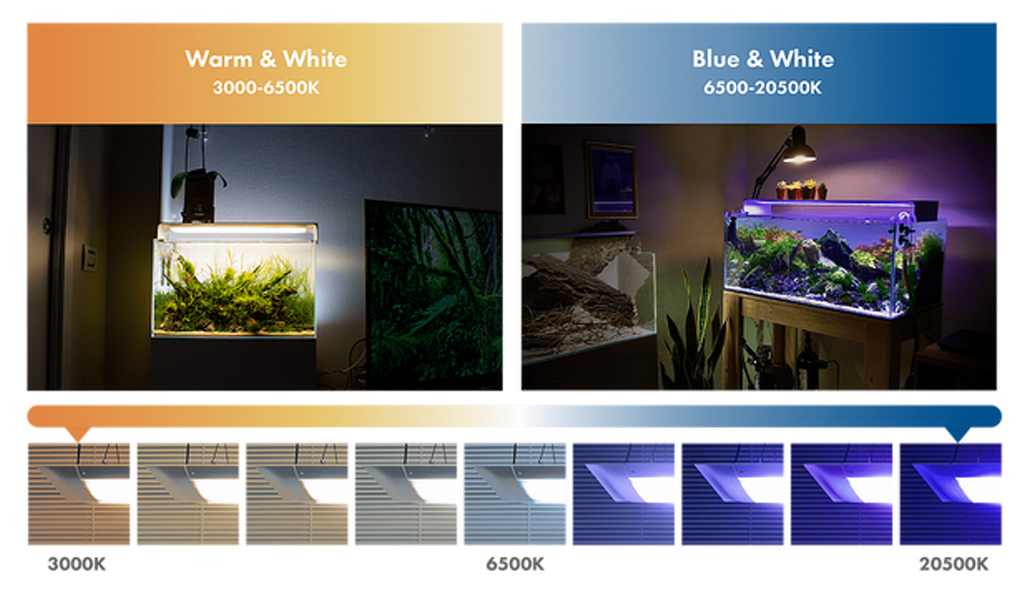 ONF - Flat One+ (Pendant) | Đèn LED trồng cây thủy sinh trong hồ cá