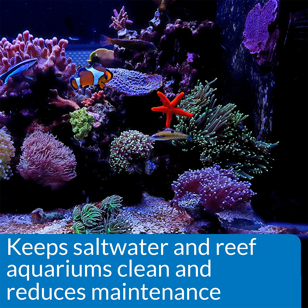 API - Marine Stress Zyme | Vi sinh xử lý nước hồ cá biển san hô