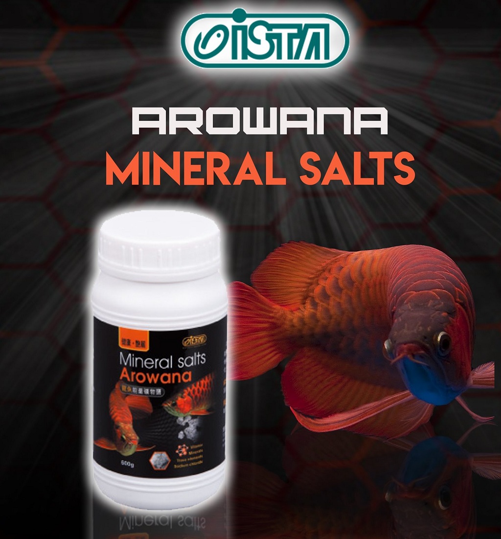 ISTA - Mineral Salts Arowana | Bổ sung khoáng, Vitamin cho cá Rồng