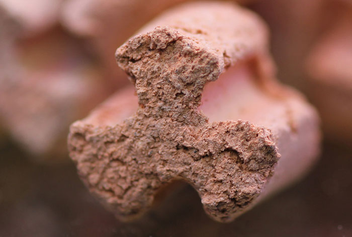 AQUARIO - Neo Media Pure Premium | Vật liệu lọc hồ cá thủy sinh