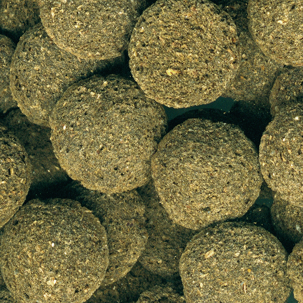 JBL - Novo Pleco | Thức ăn viên chìm cho cá tầng đáy Pleco thủy sinh