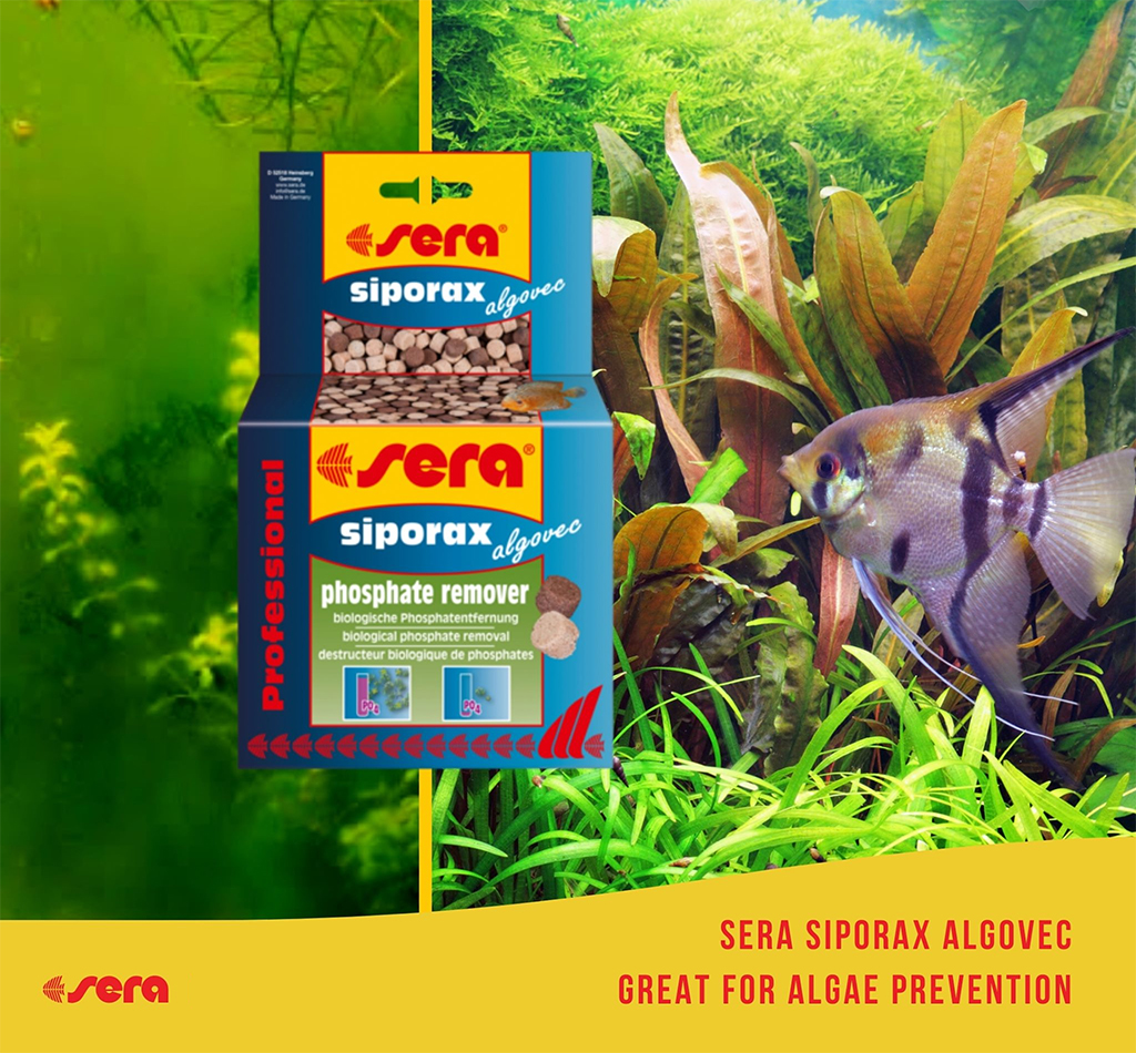 SERA - Siporax Algovec Professional | Vật liệu lọc khử PO4 hồ cá thủy sinh