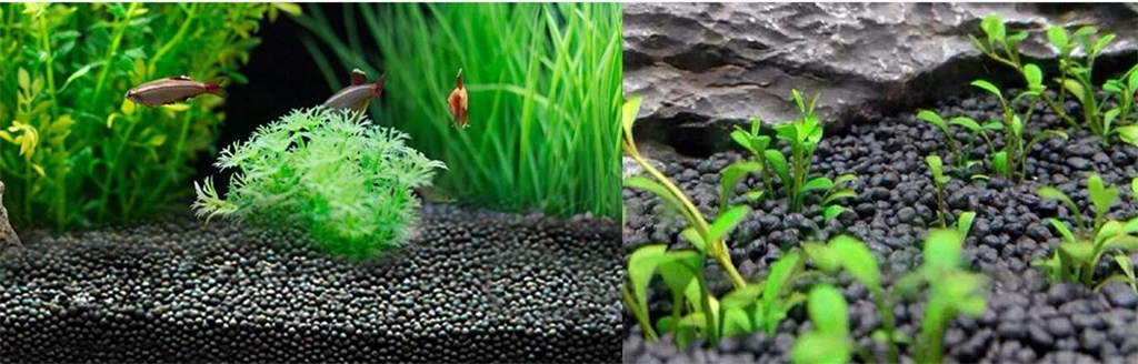 ABUSEA - The Soil | Phân nền trồng cây thủy sinh trong hồ cá cảnh