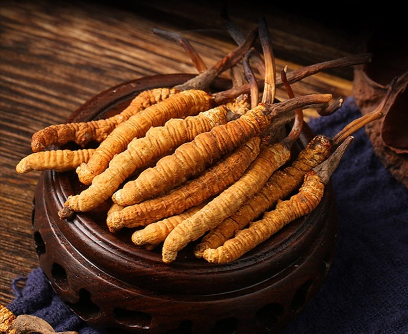 Đông trùng hạ thảo là gì?