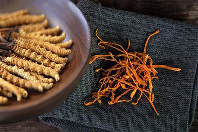 Trùng thảo sấy khô giá bao nhiêu?