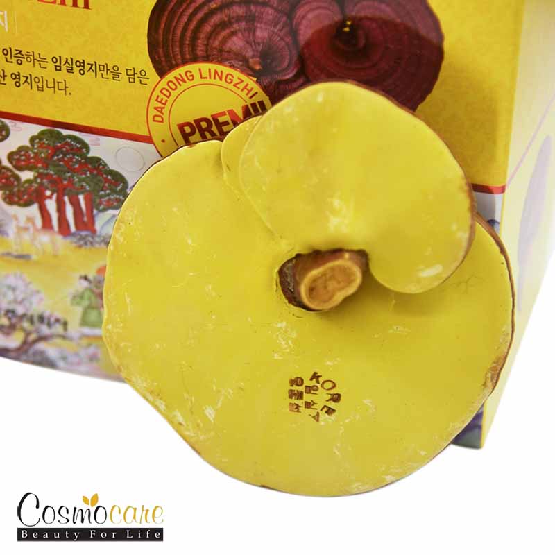 nam-linh-chi-daedong-1000g