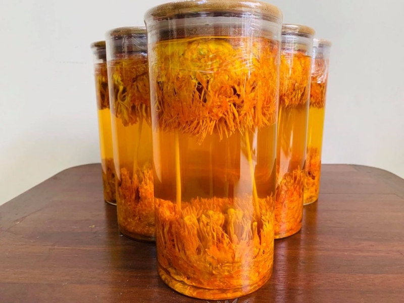 Rượu đông trùng hạ thảo có tác dụng gì?