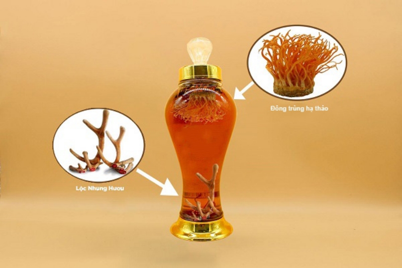 Cách ngâm rượu đông trùng với lộc nhung