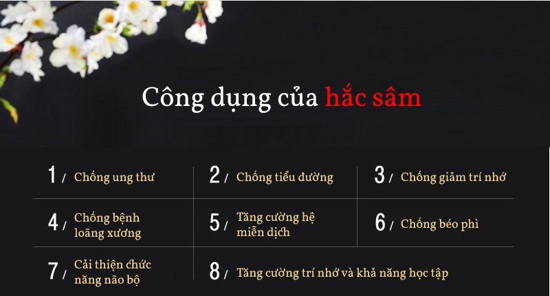 cong-dung-cua-hac-sam