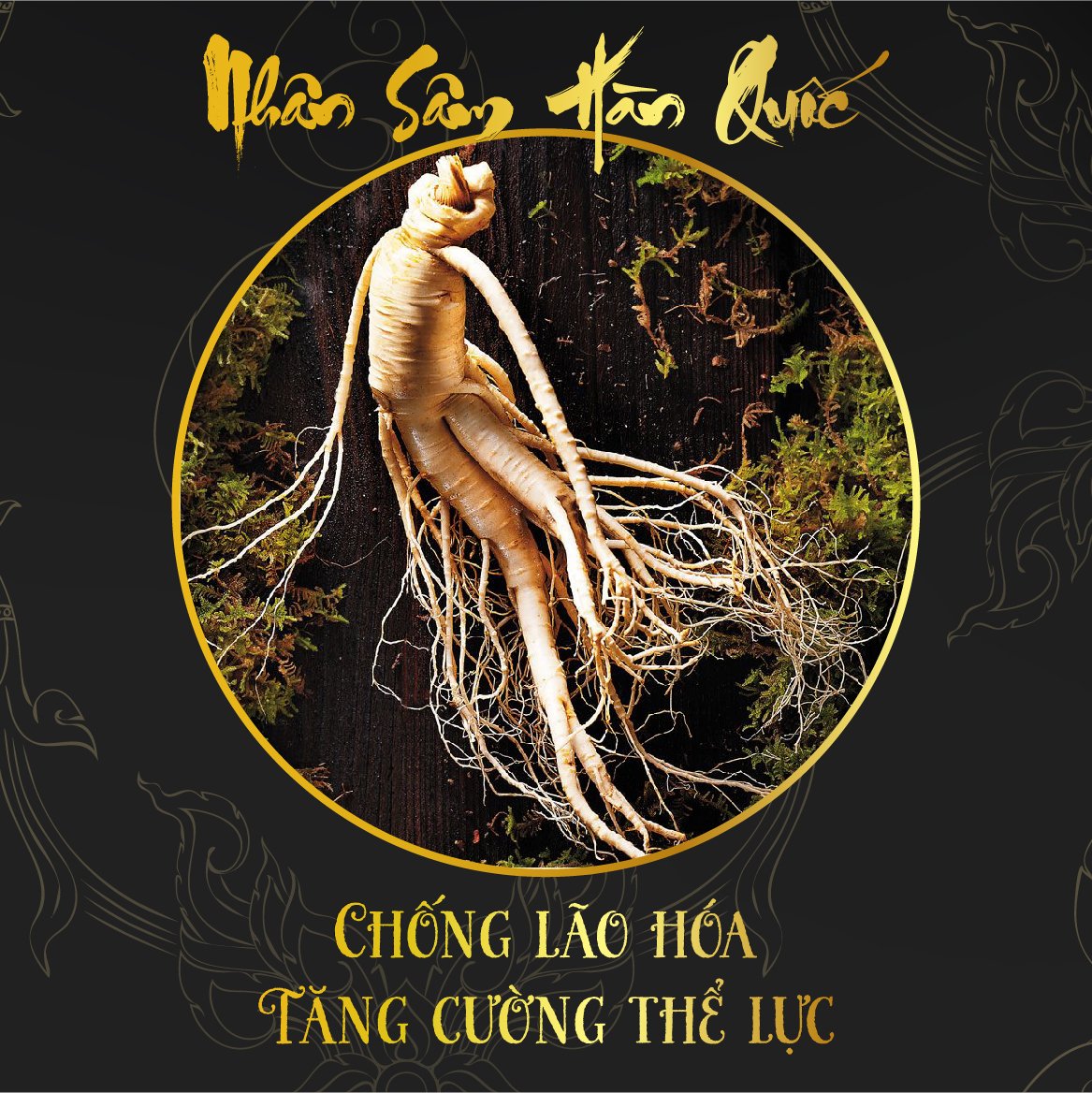 NHÂN SÂM HÀN QUỐC