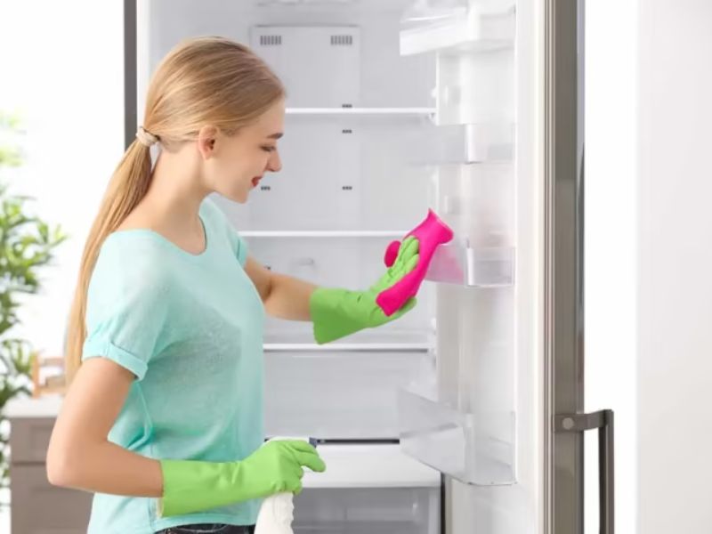 Có rất nhiều vi khuẩn sinh sôi và phát triển được trong điều kiện không khí ẩm và nhiệt độ thấp