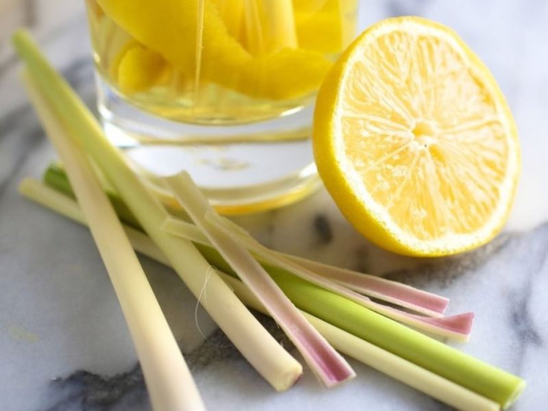Chanh sả có mùi thơm dịu nhẹ dễ chịu