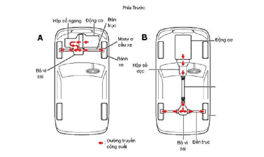 cac-kieu-bo-tri-truyen-dong