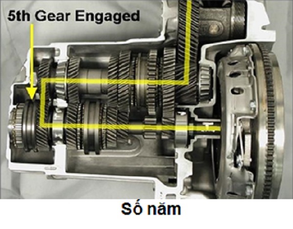 Sơ đồ nguyên lý truyền lực trong hộp số sàn tại vị trí số 5