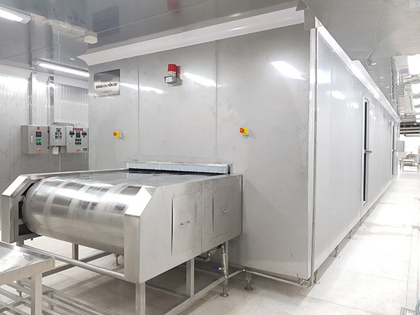 Hệ thống băng chuyền cấp đông là gì?