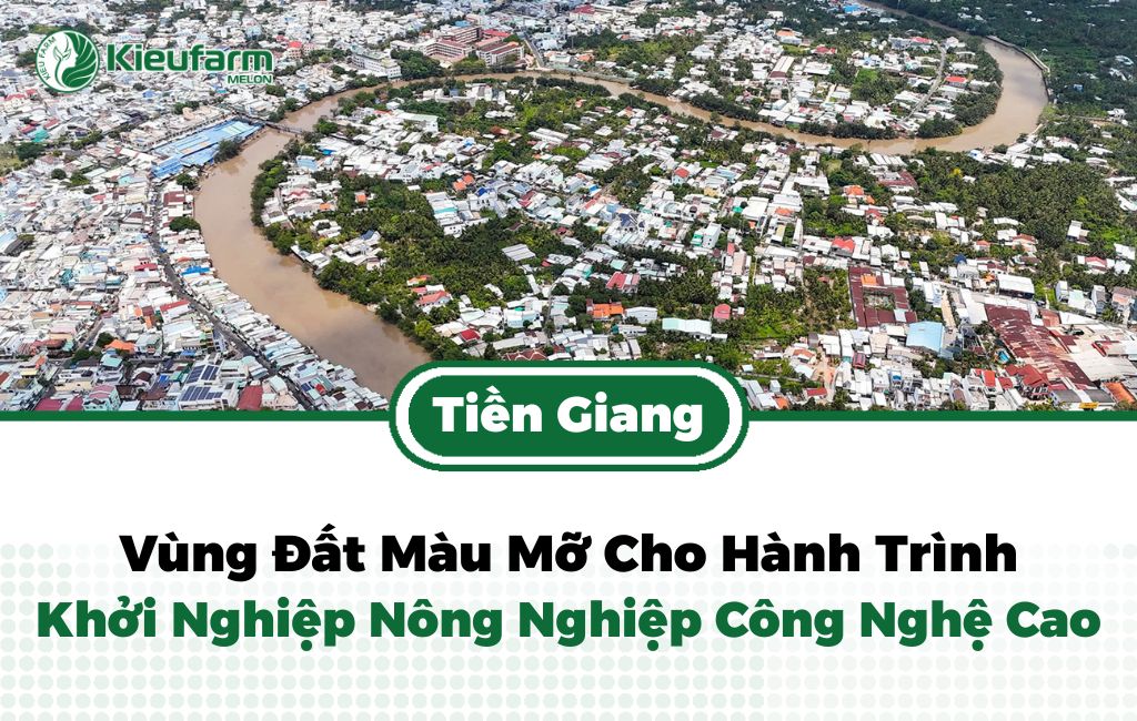 Chính sách nông nghiệp công nghệ cao tại Tiền Giang