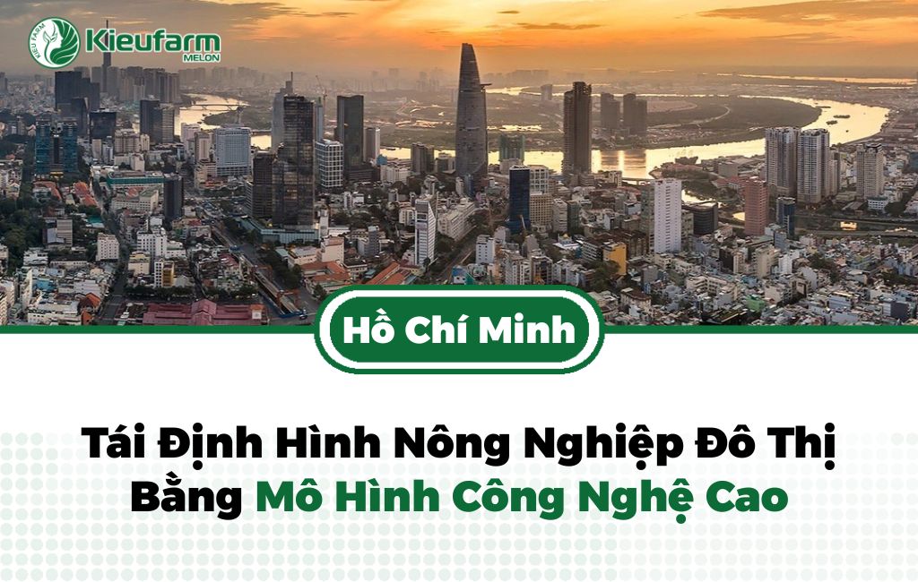 Chính sách thúc đầy nông nghiệp CNC tại Tp.HCM