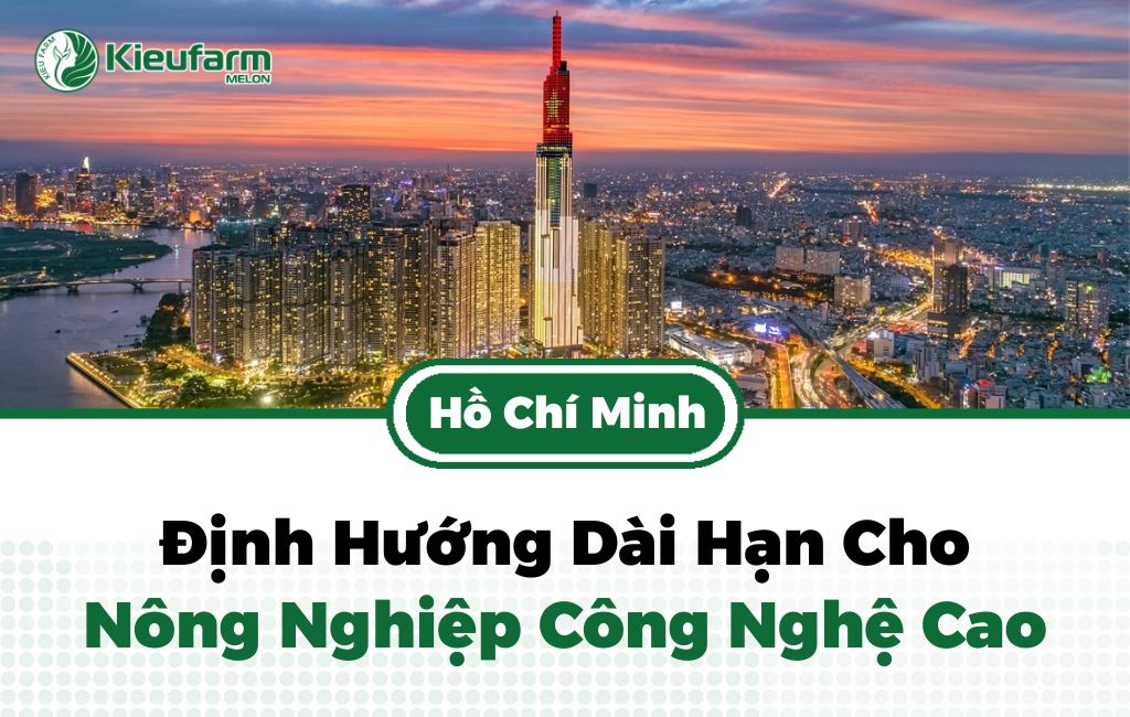 Chính sách hỗ trợ nông nghiệp công nghệ cao