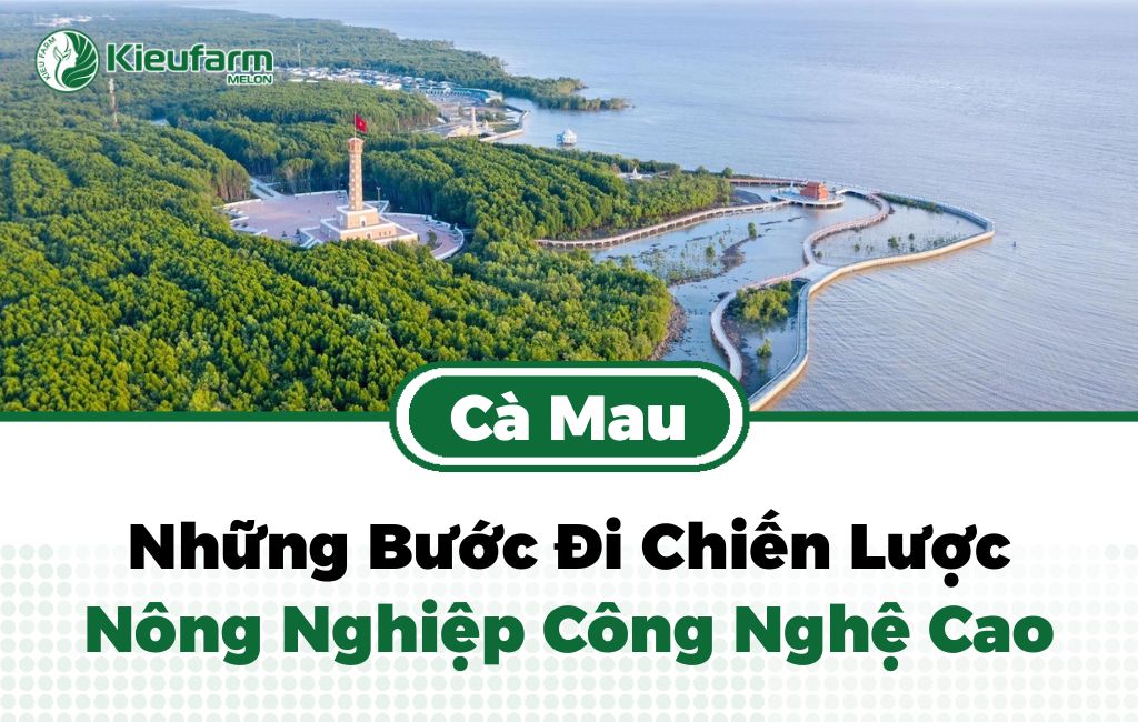 Chính sách hỗ trwoj nông nghiệp công nghệ cao