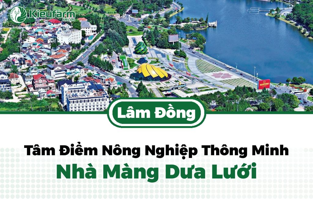 Chính sách nông nghiệp công nghệ cao