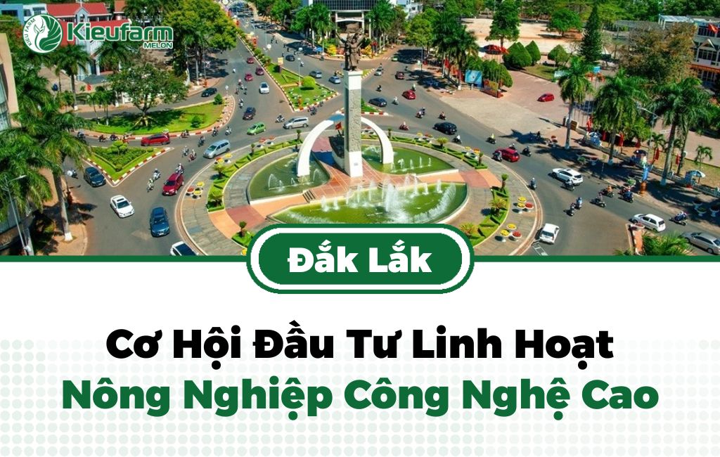 Chính sách thúc đẩy nông nghiệp công nghệ cao