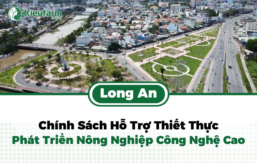 Chính sách thúc đẩy nông nghiệp công nghệ cao