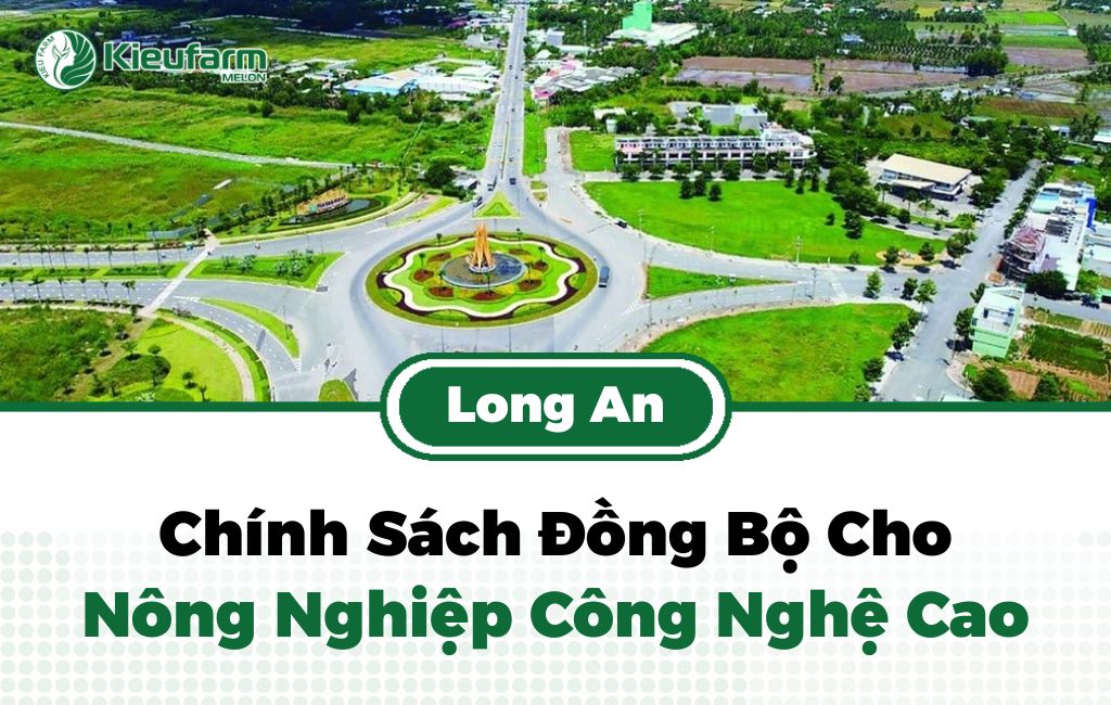 Chính sách nông nghiệp công nghệ cao Long An