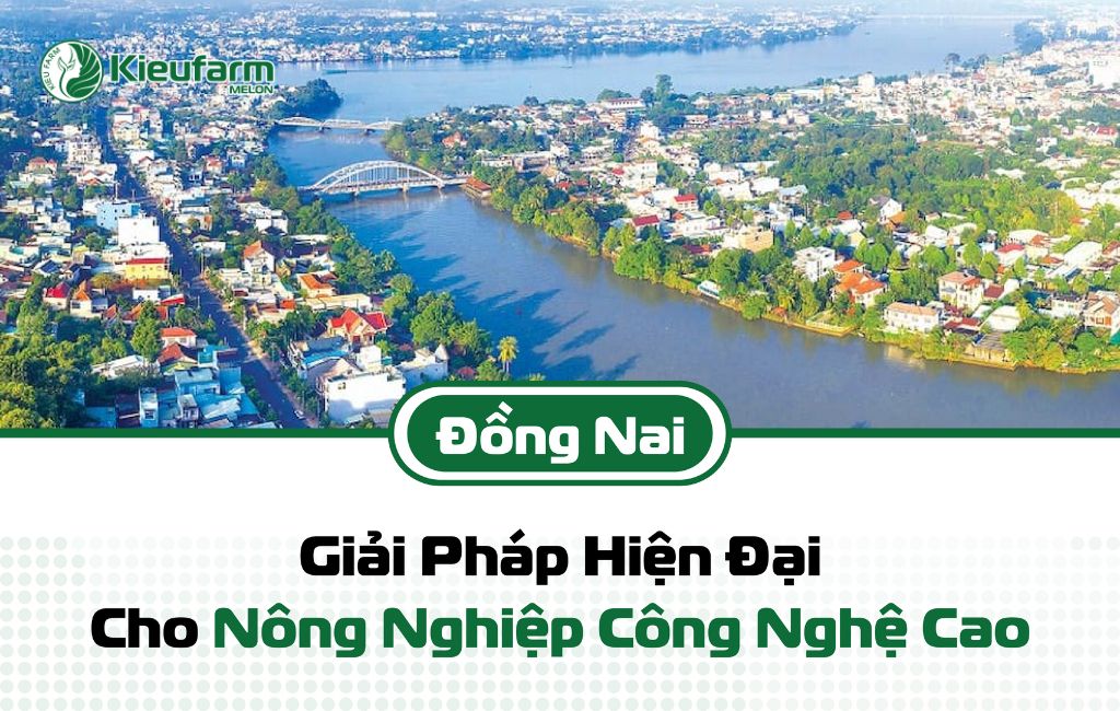 Mô hình nhà màng dưa lưới đạt hiệu quả cao tại Đồng Nai