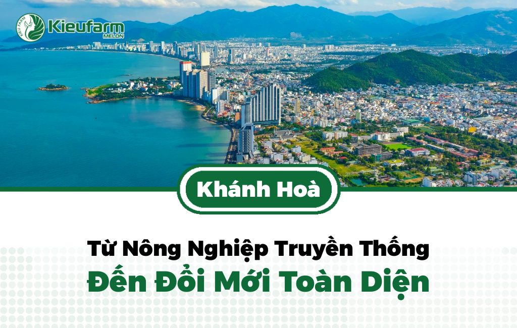 Khánh Hòa đổi mới với mô hình nông nghiệp hiện đại