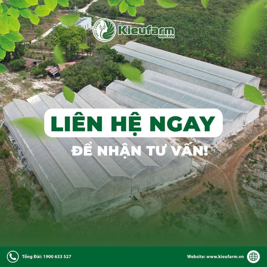 Giải pháp nhà màng phơi sấy nông sản Kieufarm