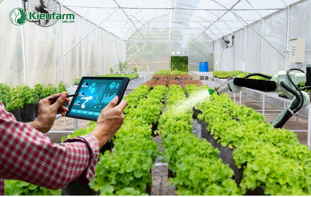 Đầu tư phát triển nông nghiệp công nghệ cao