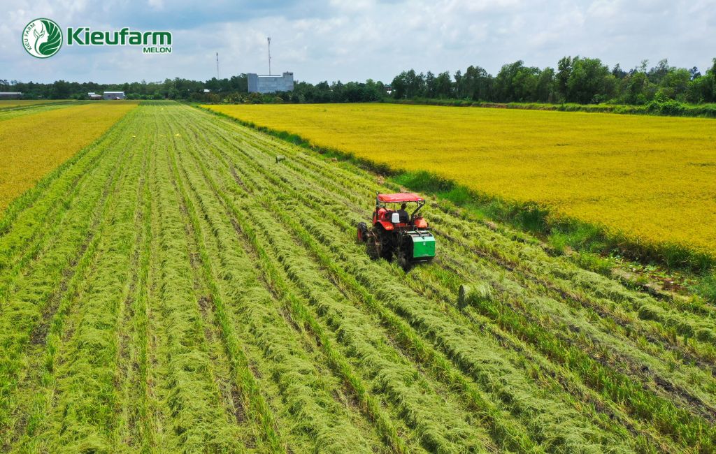 Chuyển đổi sang mô hình nông nghiệp công nghệ cao