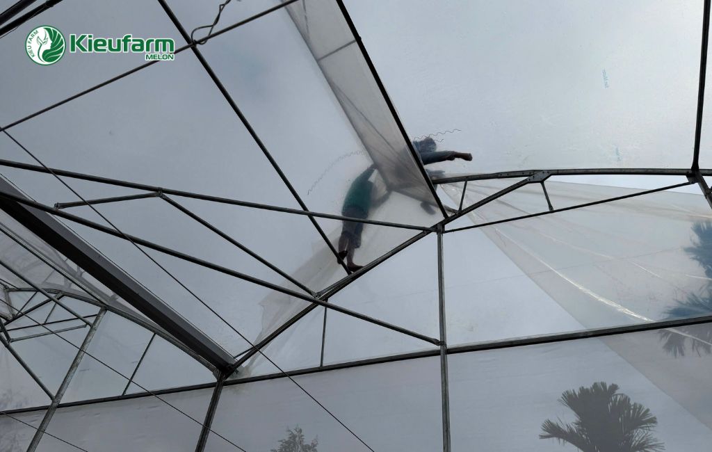 Lắp màng phủ nhà màng