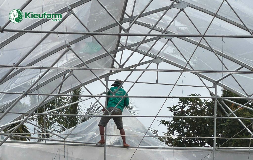 Thi công nhà màng dưa lưới chuyên nghiệp