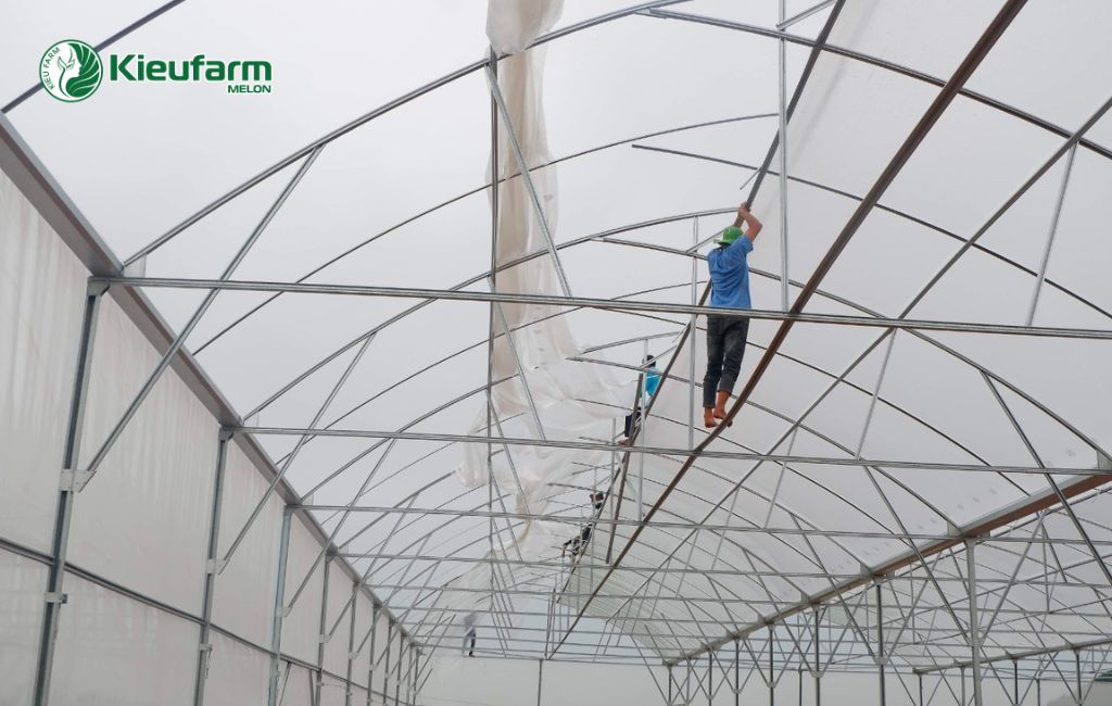 Dịch vụ thi công nhà màng dưa lưới trọn gói tại Kieufarm