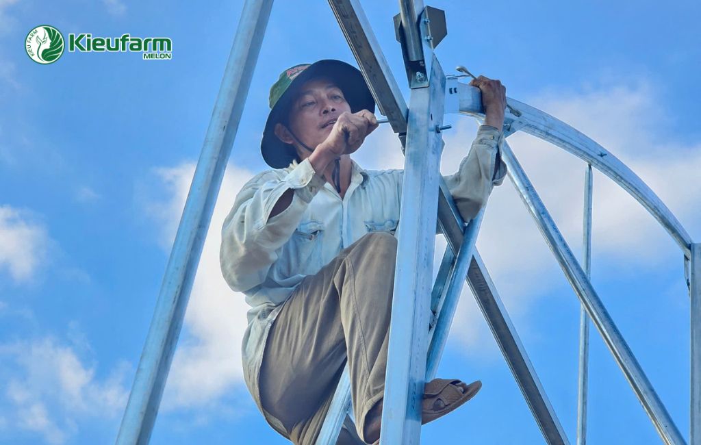 Thi công nhà màng dưa lưới chuyên nghiệp