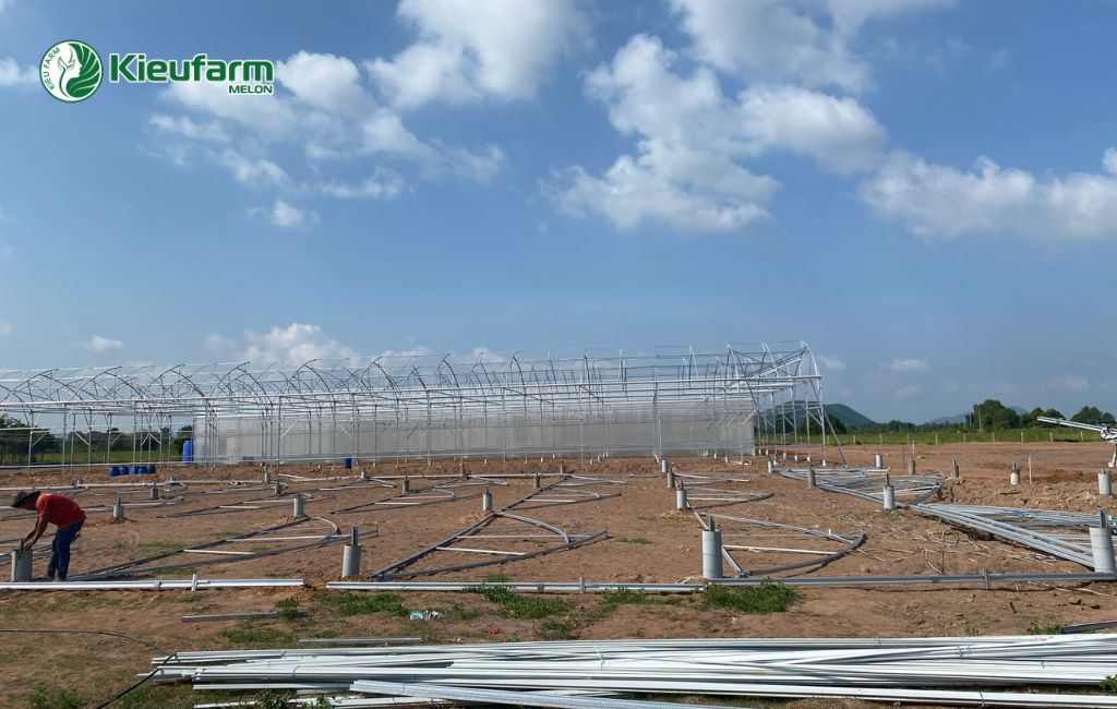 Thi công và lắp đặt nhà màng dưa lưới