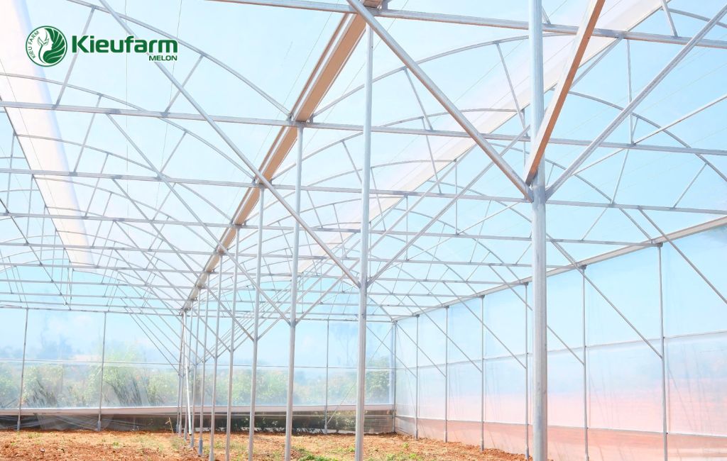 Kieufarm thi công nhà màng dưa lưới trọn gói