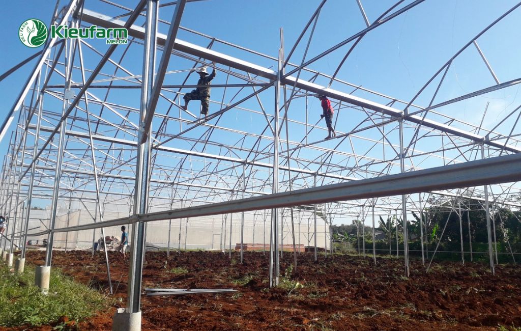 Thi công nhà màng dưa lưới chuẩn chất lượng